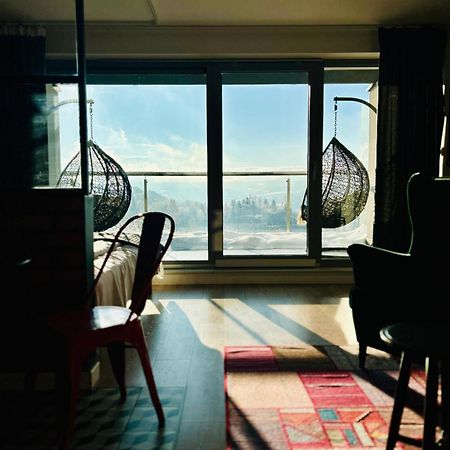 The Beskid View 비스와 외부 사진